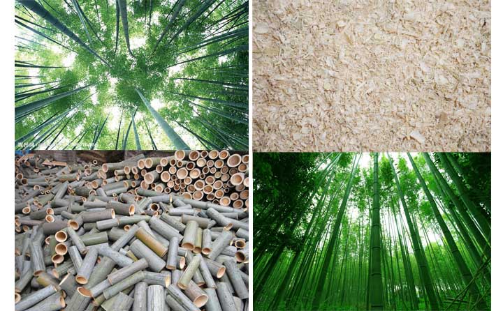 1469064015827931.jpg 竹屑.jpg