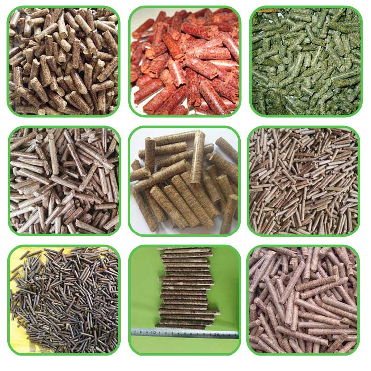生物質顆粒機生產(chǎn)的顆粒