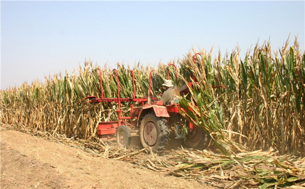 生物質(zhì)顆粒機(jī)設(shè)備成型燃料研究現(xiàn)狀及進(jìn)展 生物質(zhì)顆粒機(jī)設(shè)備成型燃料研究現(xiàn)狀及進(jìn)展