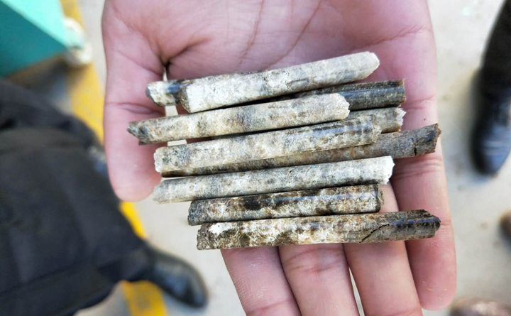 木屑顆粒機(jī)壓制出的含水率是0的顆粒.jpg 木屑顆粒機(jī)壓制出的含水率是0的顆粒.jpg