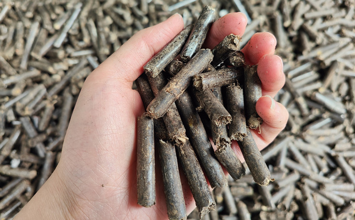 木屑顆粒機生物質(zhì)顆粒助力綠色農(nóng)業(yè)高質(zhì)量發(fā)展 木屑顆粒機生物質(zhì)顆粒助力綠色農(nóng)業(yè)高質(zhì)量發(fā)展