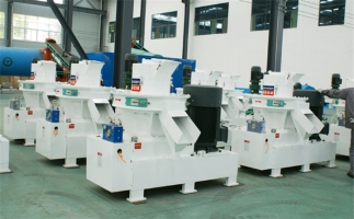 生物質(zhì)資源、生物質(zhì)發(fā)電現(xiàn)狀及前景