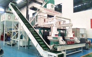 開鋸末顆粒機顆粒廠需要怎么做？