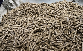 鋸末顆粒機的顆粒燃料比煤炭貴，為什么還有那么多人用？