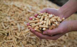 為什么越來越多人選鋸末顆粒機(jī)的生物質(zhì)顆粒取暖？