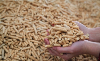 鋸末顆粒機(jī)生物質(zhì)顆粒，你需要知道的常識問題